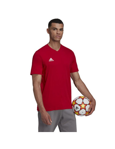 Koszulka adidas entrada 22 tee m