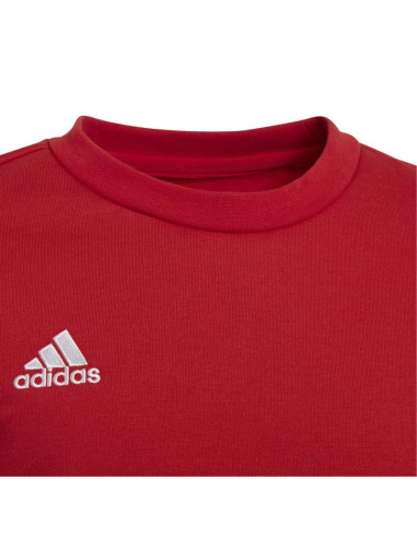 Bluza adidas entrada 22 sweat jr