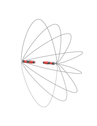 Skakanka reebok premium