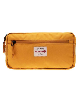 Saszetka, nerka iguana edgos 2