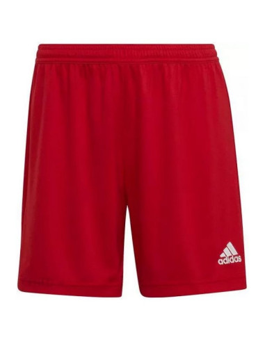 Spodenki adidas entrada 22 w