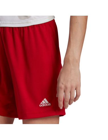 Spodenki adidas entrada 22 w