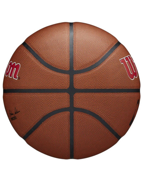 Piłka wilson team alliance toronto raptors ball