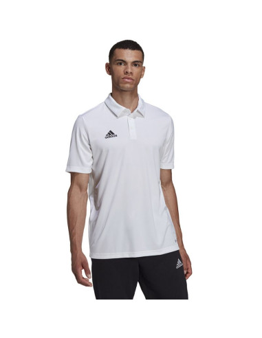 Koszulka adidas entrada 22 polo m