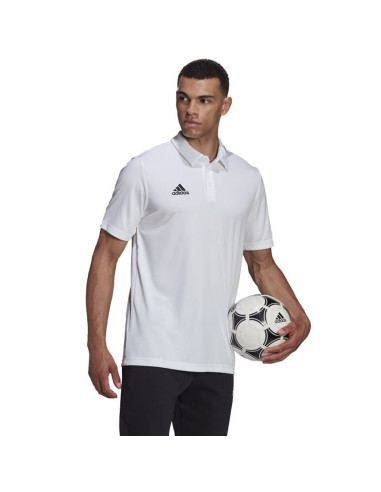 Koszulka adidas entrada 22 polo m