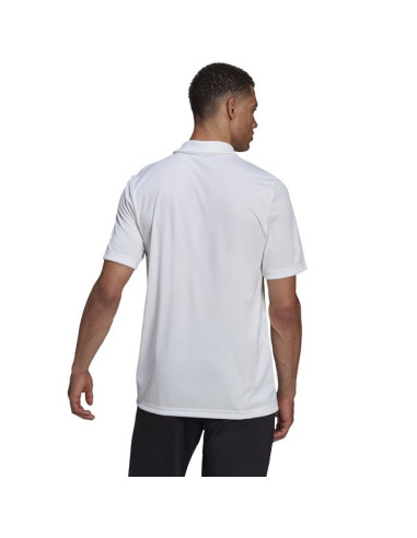 Koszulka adidas entrada 22 polo m