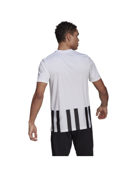 Koszulka adidas striped 21 jsy m