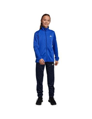 Dres adidas essentials big logo track suit jr