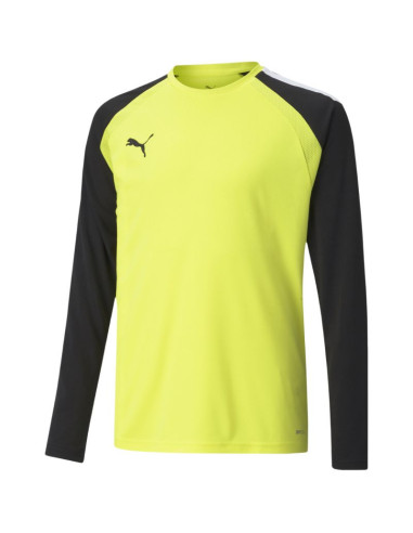 Bluza bramkarska puma teampacer gk ls jersey jr 704939