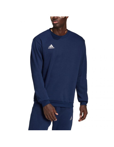 Bluza adidas entrada 22 sweat top m