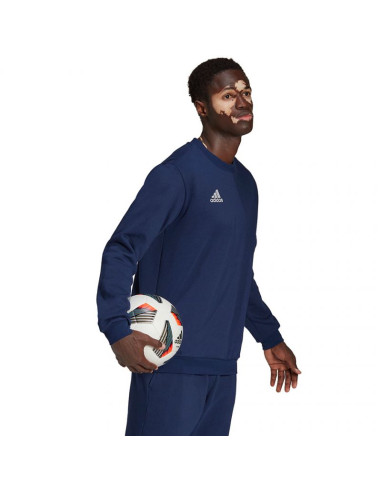 Bluza adidas entrada 22 sweat top m