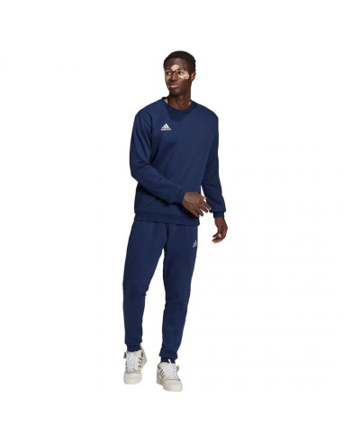 Bluza adidas entrada 22 sweat top m