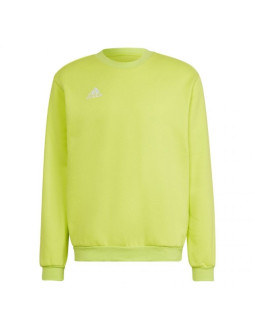 Bluza adidas entrada 22 sweat top m 2
