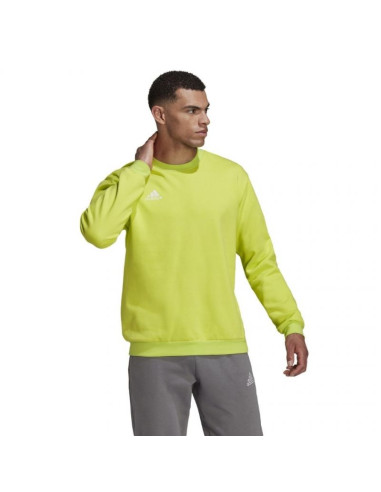 Bluza adidas entrada 22 sweat top m