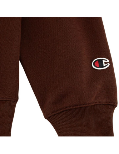 Bluza champion hooded w 117530