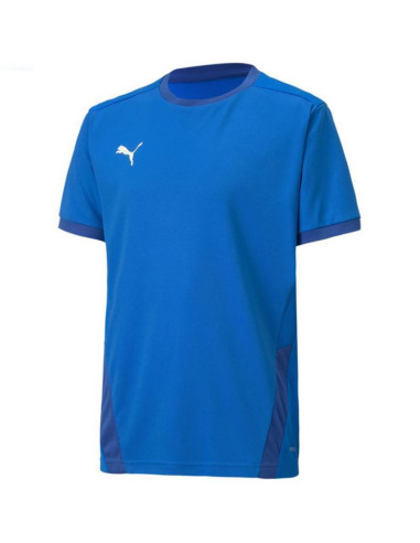 Koszulka puma teamgoal 23 jersey jr 704160