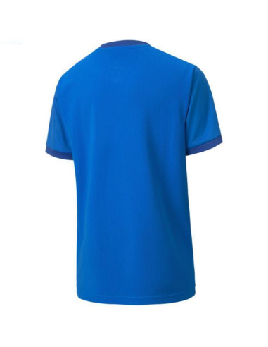 Koszulka puma teamgoal 23 jersey jr 704160