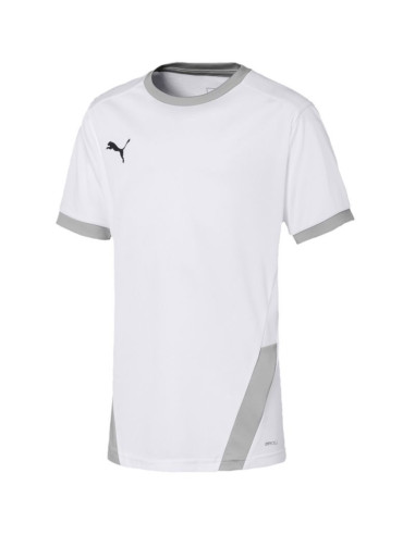 Koszulka puma teamgoal 23 jersey jr 704160