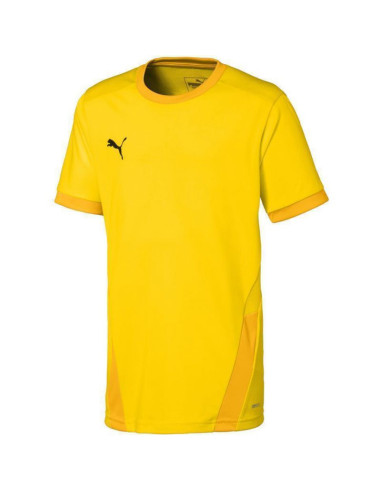 Koszulka puma teamgoal 23 jersey jr 704160