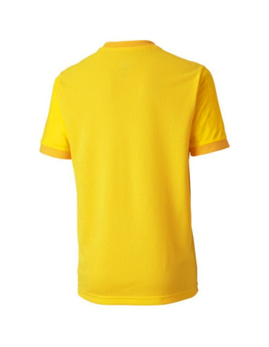 Koszulka puma teamgoal 23 jersey jr 704160