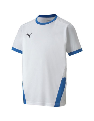 Koszulka puma teamgoal 23 jersey jr 704160
