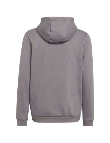 Bluza adidas entrada 22 hoody jr