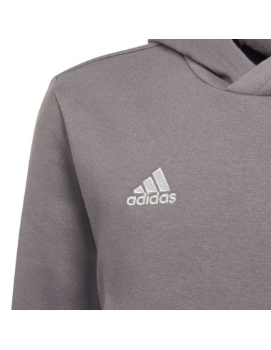 Bluza adidas entrada 22 hoody jr