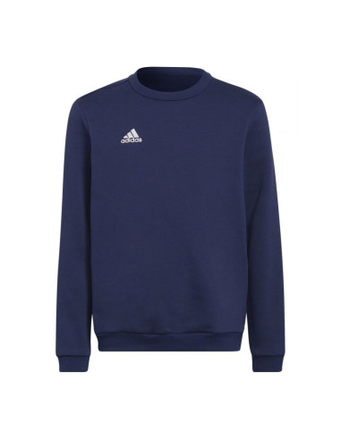 Bluza adidas entrada 22 hoody jr