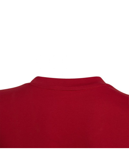 Koszulka adidas entrada 22 tee jr