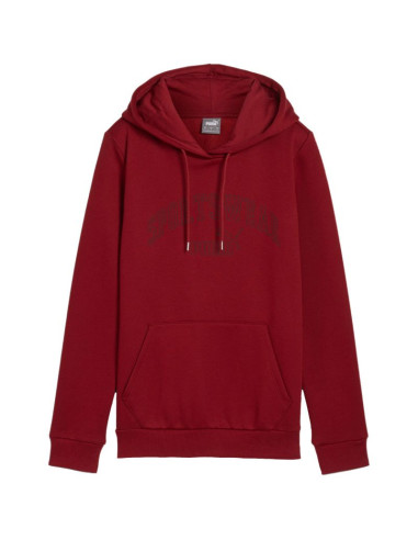 Bluza puma ess+ logo lab hoodie fl w 682987