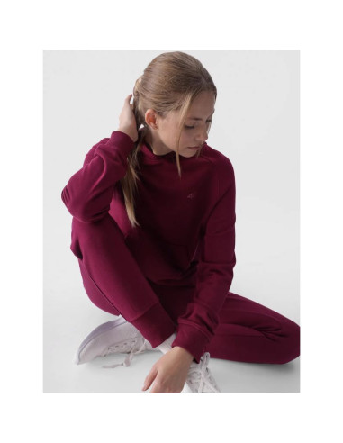 Bluza 4f w 4fwmm00tswsf1468