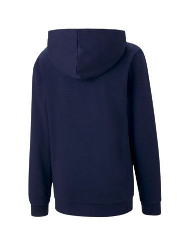 Bluza puma teamgoal 23 casuals hoody jr 656711