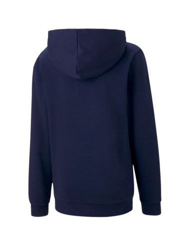 Bluza puma teamgoal 23 casuals hoody jr 656711