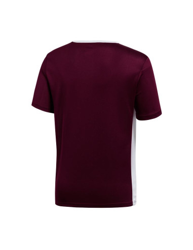 Koszulka adidas entrada 18 jr ce9564