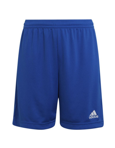 Spodenki adidas entrada 22 jr