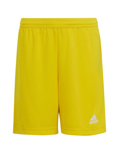 Spodenki adidas entrada 22 jr