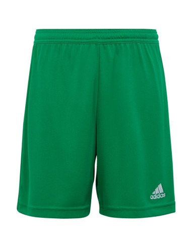 Spodenki adidas entrada 22 jr