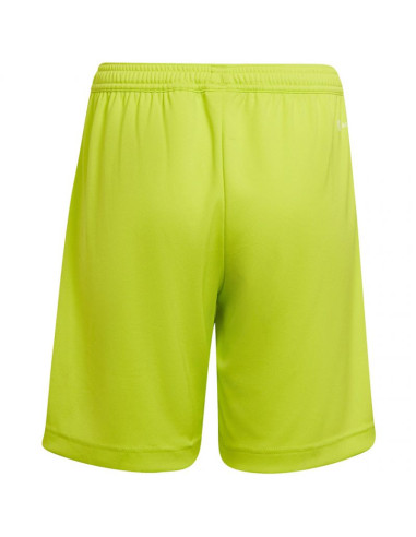 Spodenki adidas entrada 22 jr