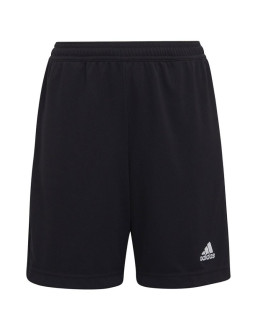 Spodenki adidas entrada 22 training short y jr