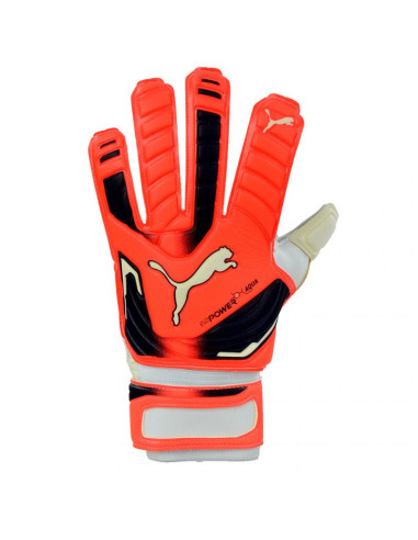 Rękawice bramkarskie puma evo power grip 2 aqua 41145