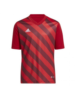 Koszulka adidas entrada 22 graphic jersey jr 2