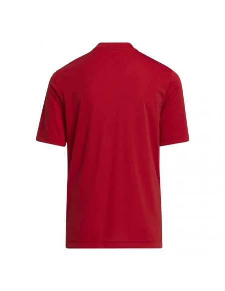 Koszulka adidas entrada 22 graphic jersey jr