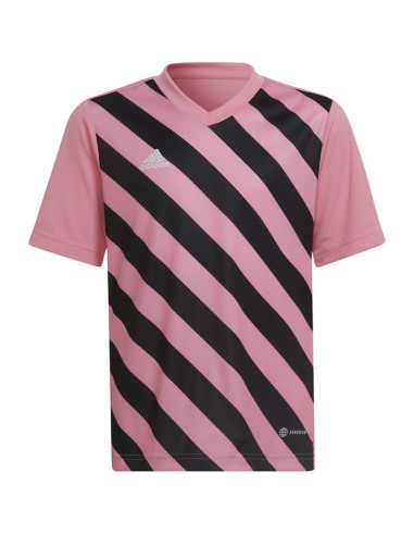 Koszulka adidas entrada 22 graphic jersey jr