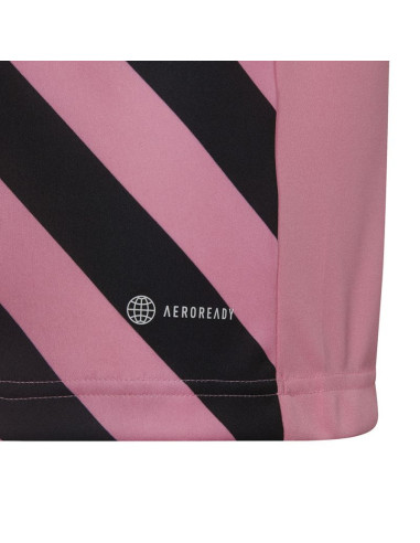 Koszulka adidas entrada 22 graphic jersey jr