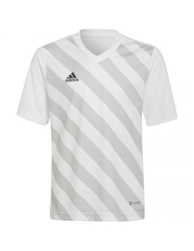 Koszulka adidas entrada 22 graphic jersey jr