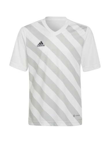 Koszulka adidas entrada 22 graphic jersey jr