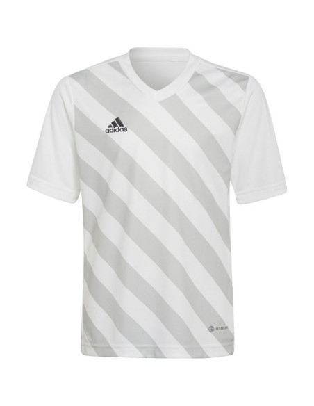 Koszulka adidas entrada 22 graphic jersey jr