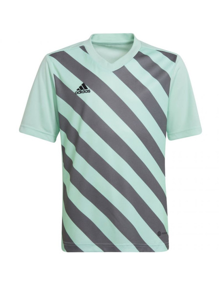 Koszulka adidas entrada 22 graphic jersey jr