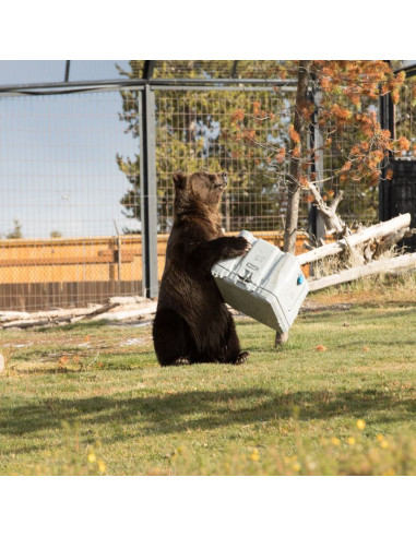 Lodówka turystyczna lifetime