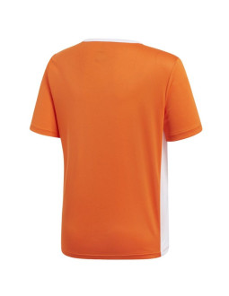 Koszulka adidas entrada 18 jsy y jr cf1043 2